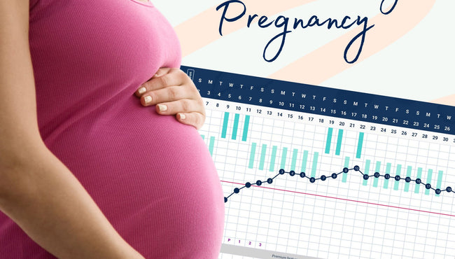 The connection between BBT Charting and pregnancy