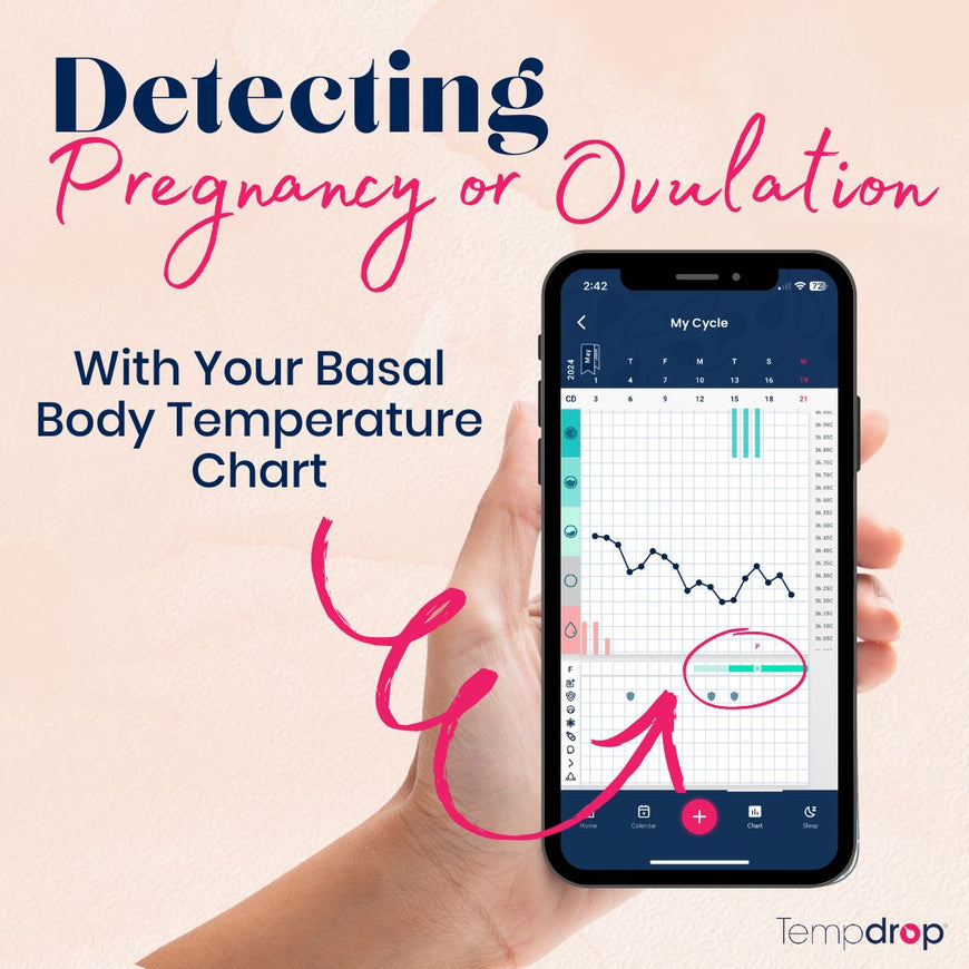 Detecting Pregnancy or Ovulation in Your Basal Body Temperature Chart