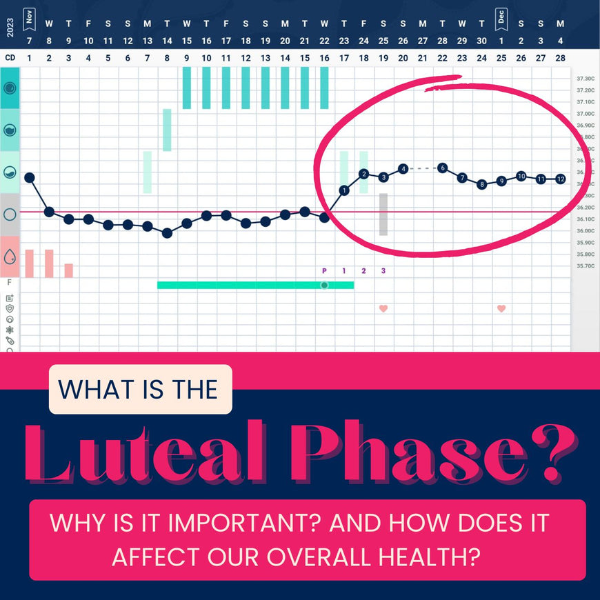 What is the luteal phase? Learn now why it's important and how it affects overall health