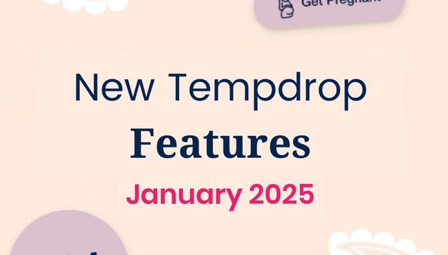 New Tempdrop Features: January 2025