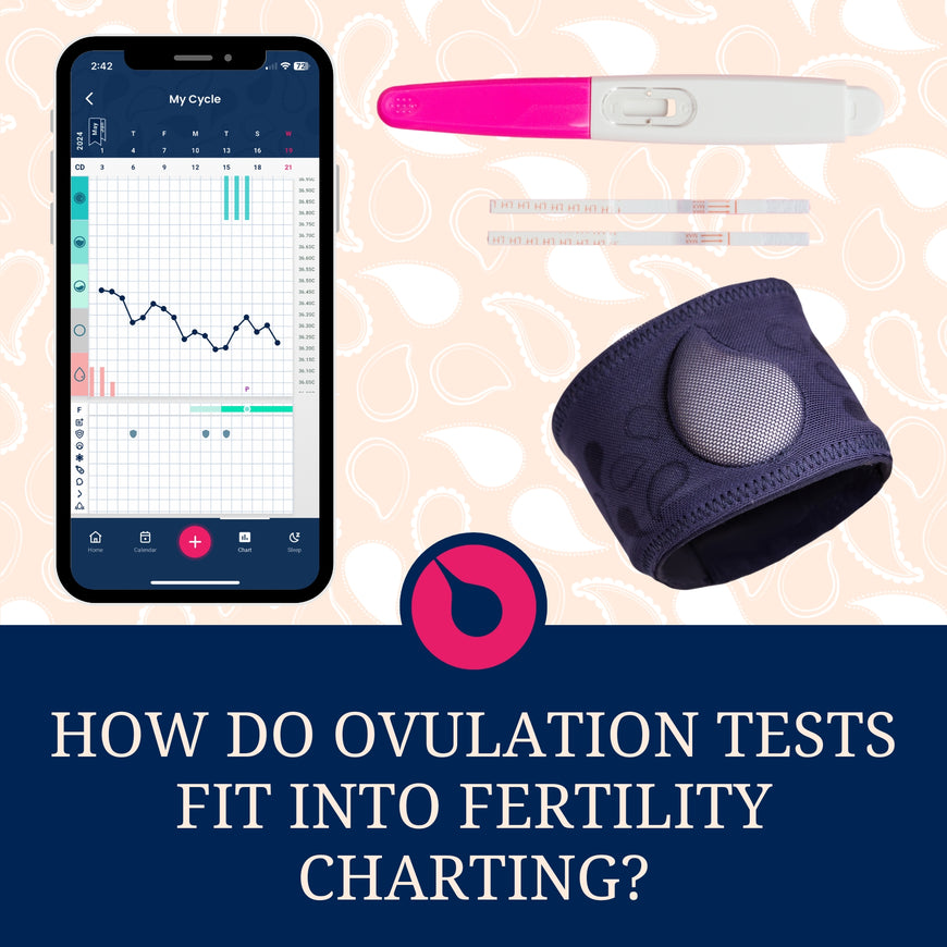 How Do Ovulation Tests Fit Into Fertility Charting?